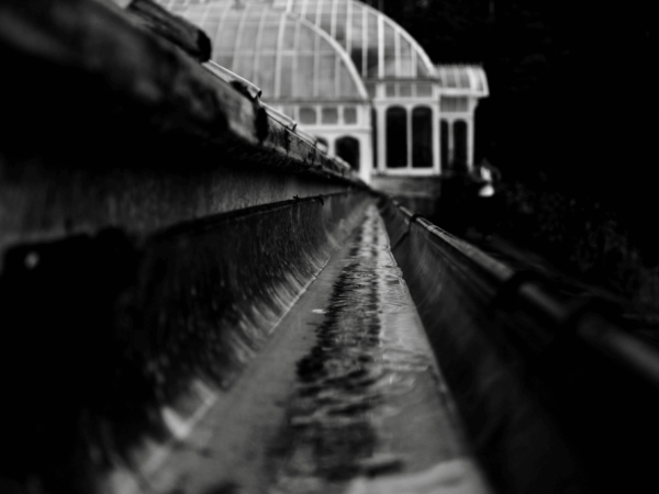 The Importance of Cleaning Your Gutters for Home Maintenance