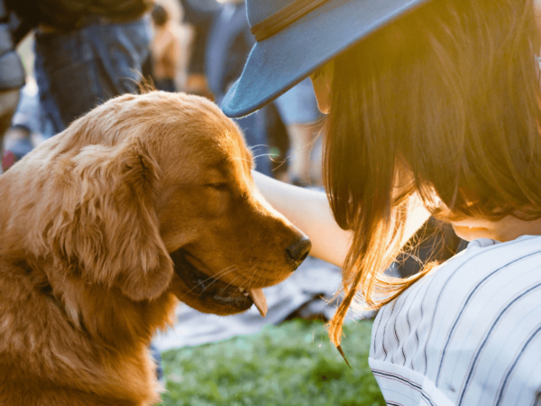 Managing Anxiety with Dogs: How Professional Dog Trainers Can Help